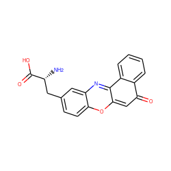 N[C@H](Cc1ccc2oc3cc(=O)c4ccccc4c-3nc2c1)C(=O)O ZINC000003954666
