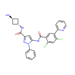 N[C@H]1C[C@H](NC(=O)c2cc(NC(=O)c3cc(-c4ccccn4)c(Cl)cc3Cl)n(-c3ccccc3)n2)C1 ZINC001772593094