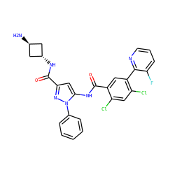 N[C@H]1C[C@H](NC(=O)c2cc(NC(=O)c3cc(-c4ncccc4F)c(Cl)cc3Cl)n(-c3ccccc3)n2)C1 ZINC001772653465