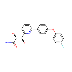 NC(=O)[C@@H](O)[C@H](O)c1cccc(-c2ccc(Oc3ccc(F)cc3)cc2)n1 ZINC000205476201