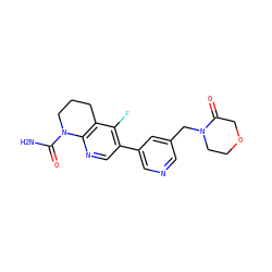 NC(=O)N1CCCc2c1ncc(-c1cncc(CN3CCOCC3=O)c1)c2F ZINC001772619514