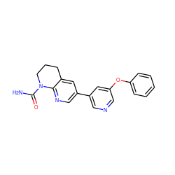 NC(=O)N1CCCc2cc(-c3cncc(Oc4ccccc4)c3)cnc21 ZINC000221466311