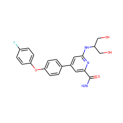 NC(=O)c1cc(-c2ccc(Oc3ccc(F)cc3)cc2)cc(NC(CO)CO)n1 ZINC000114593187