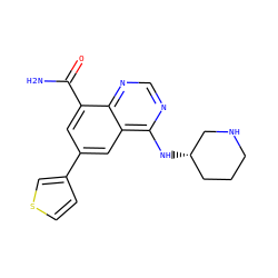 NC(=O)c1cc(-c2ccsc2)cc2c(N[C@H]3CCCNC3)ncnc12 ZINC000114345537