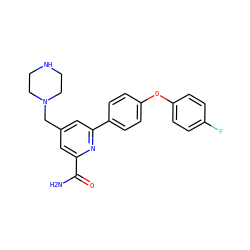 NC(=O)c1cc(CN2CCNCC2)cc(-c2ccc(Oc3ccc(F)cc3)cc2)n1 ZINC000114592766