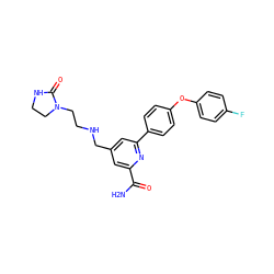NC(=O)c1cc(CNCCN2CCNC2=O)cc(-c2ccc(Oc3ccc(F)cc3)cc2)n1 ZINC000114592265