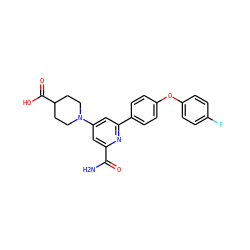 NC(=O)c1cc(N2CCC(C(=O)O)CC2)cc(-c2ccc(Oc3ccc(F)cc3)cc2)n1 ZINC000114592966