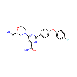 NC(=O)c1cc(N2CCO[C@H](C(N)=O)C2)nc(-c2ccc(Oc3ccc(F)cc3)cc2)n1 ZINC000142607143