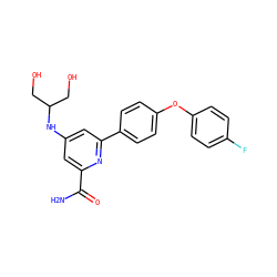NC(=O)c1cc(NC(CO)CO)cc(-c2ccc(Oc3ccc(F)cc3)cc2)n1 ZINC000114603057