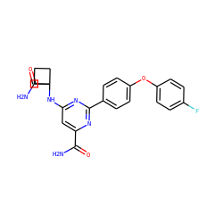 NC(=O)c1cc(NC2(C(N)=O)CCC2)nc(-c2ccc(Oc3ccc(F)cc3)cc2)n1 ZINC000142527702
