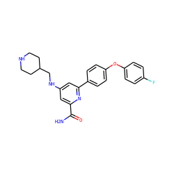 NC(=O)c1cc(NCC2CCNCC2)cc(-c2ccc(Oc3ccc(F)cc3)cc2)n1 ZINC000114593002
