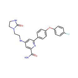 NC(=O)c1cc(NCCN2CCNC2=O)cc(-c2ccc(Oc3ccc(F)cc3)cc2)n1 ZINC000114591859