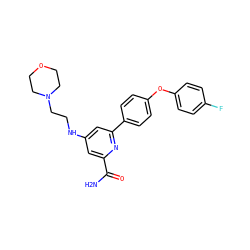 NC(=O)c1cc(NCCN2CCOCC2)cc(-c2ccc(Oc3ccc(F)cc3)cc2)n1 ZINC000114592685