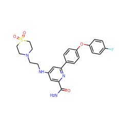 NC(=O)c1cc(NCCN2CCS(=O)(=O)CC2)cc(-c2ccc(Oc3ccc(F)cc3)cc2)n1 ZINC000114592182