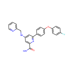 NC(=O)c1cc(NCc2ccccn2)cc(-c2ccc(Oc3ccc(F)cc3)cc2)n1 ZINC000114592861