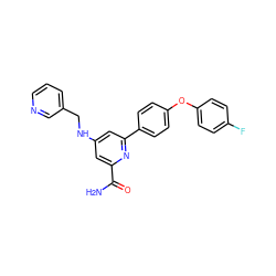 NC(=O)c1cc(NCc2cccnc2)cc(-c2ccc(Oc3ccc(F)cc3)cc2)n1 ZINC000114592471