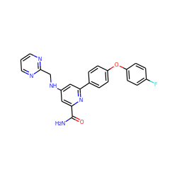 NC(=O)c1cc(NCc2ncccn2)cc(-c2ccc(Oc3ccc(F)cc3)cc2)n1 ZINC000114592011