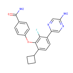 NC(=O)c1ccc(Oc2c(C3CCC3)ccc(-c3cnc(N)cn3)c2F)cc1 ZINC000212150105