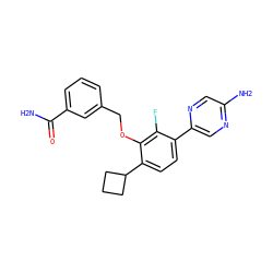 NC(=O)c1cccc(COc2c(C3CCC3)ccc(-c3cnc(N)cn3)c2F)c1 ZINC000212172471