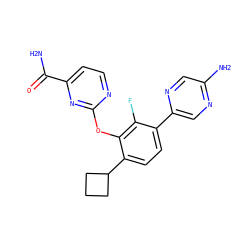 NC(=O)c1ccnc(Oc2c(C3CCC3)ccc(-c3cnc(N)cn3)c2F)n1 ZINC000224551165