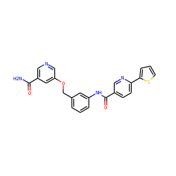 NC(=O)c1cncc(OCc2cccc(NC(=O)c3ccc(-c4cccs4)nc3)c2)c1 ZINC000653887047