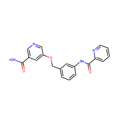NC(=O)c1cncc(OCc2cccc(NC(=O)c3ccccn3)c2)c1 ZINC000653895432