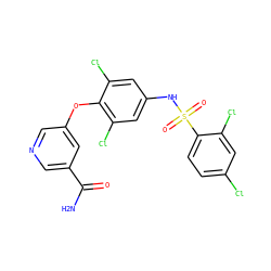 NC(=O)c1cncc(Oc2c(Cl)cc(NS(=O)(=O)c3ccc(Cl)cc3Cl)cc2Cl)c1 ZINC000095588846