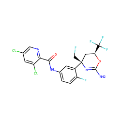 NC1=N[C@](CF)(c2cc(NC(=O)c3ncc(Cl)cc3Cl)ccc2F)C[C@@H](C(F)(F)F)O1 ZINC000205353092