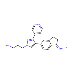 NCCCn1cc(-c2ccc3c(c2)CC/C3=N\O)c(-c2ccncc2)n1 ZINC000038208516