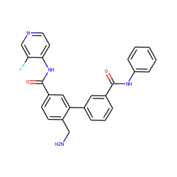 NCc1ccc(C(=O)Nc2ccncc2F)cc1-c1cccc(C(=O)Nc2ccccc2)c1 ZINC000299865563