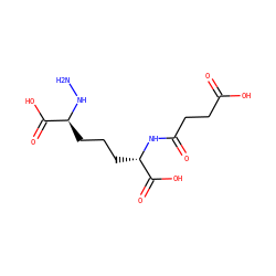 NN[C@@H](CCC[C@H](NC(=O)CCC(=O)O)C(=O)O)C(=O)O ZINC000028087524