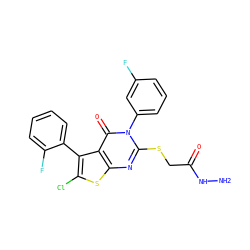 NNC(=O)CSc1nc2sc(Cl)c(-c3ccccc3F)c2c(=O)n1-c1cccc(F)c1 ZINC000028355012
