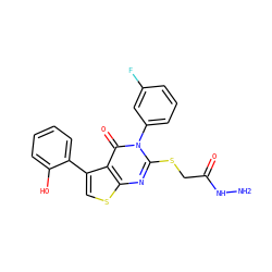 NNC(=O)CSc1nc2scc(-c3ccccc3O)c2c(=O)n1-c1cccc(F)c1 ZINC000028346699