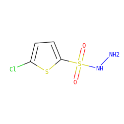NNS(=O)(=O)c1ccc(Cl)s1 ZINC000001037556