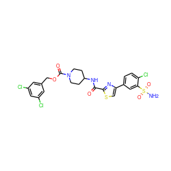 NS(=O)(=O)c1cc(-c2csc(C(=O)NC3CCN(C(=O)OCc4cc(Cl)cc(Cl)c4)CC3)n2)ccc1Cl ZINC001772619892