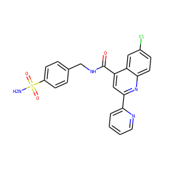 NS(=O)(=O)c1ccc(CNC(=O)c2cc(-c3ccccn3)nc3ccc(Cl)cc23)cc1 ZINC000001074152