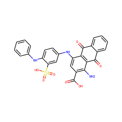 Nc1c(C(=O)O)cc(Nc2ccc(Nc3ccccc3)c(S(=O)(=O)O)c2)c2c1C(=O)c1ccccc1C2=O ZINC000042804582