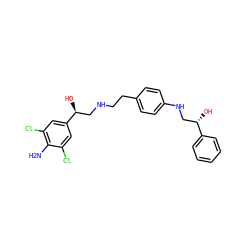 Nc1c(Cl)cc([C@@H](O)CNCCc2ccc(NC[C@H](O)c3ccccc3)cc2)cc1Cl ZINC000013918806