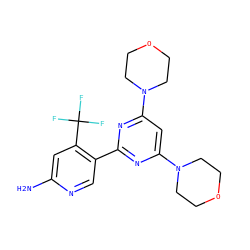 Nc1cc(C(F)(F)F)c(-c2nc(N3CCOCC3)cc(N3CCOCC3)n2)cn1 ZINC000043197664
