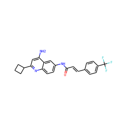 Nc1cc(C2CCC2)nc2ccc(NC(=O)/C=C/c3ccc(C(F)(F)F)cc3)cc12 ZINC000036351896