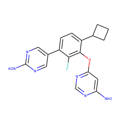 Nc1cc(Oc2c(C3CCC3)ccc(-c3cnc(N)nc3)c2F)ncn1 ZINC000212149993