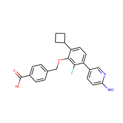 Nc1ccc(-c2ccc(C3CCC3)c(OCc3ccc(C(=O)O)cc3)c2F)cn1 ZINC000224556030
