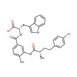 Nc1ccc(C(=O)N[C@@H](Cc2c[nH]c3ccccc23)C(=O)O)cc1NC(=O)[C@@H](N)CCc1ccc(O)cc1 ZINC000299861575