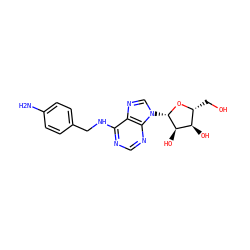 Nc1ccc(CNc2ncnc3c2ncn3[C@@H]2O[C@H](CO)[C@@H](O)[C@H]2O)cc1 ZINC000005161863
