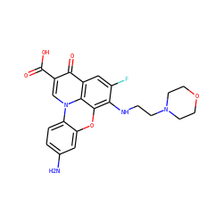 Nc1ccc2c(c1)oc1c(NCCN3CCOCC3)c(F)cc3c(=O)c(C(=O)O)cn2c13 ZINC001772611756