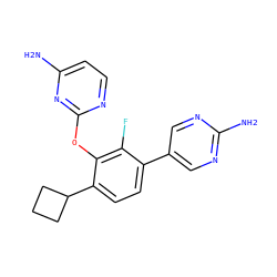 Nc1ccnc(Oc2c(C3CCC3)ccc(-c3cnc(N)nc3)c2F)n1 ZINC000212145202