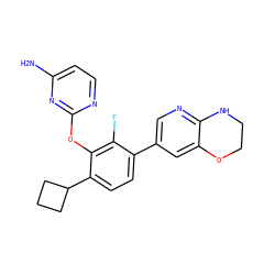 Nc1ccnc(Oc2c(C3CCC3)ccc(-c3cnc4c(c3)OCCN4)c2F)n1 ZINC000224556867