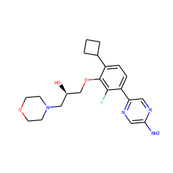Nc1cnc(-c2ccc(C3CCC3)c(OC[C@H](O)CN3CCOCC3)c2F)cn1 ZINC000224576475