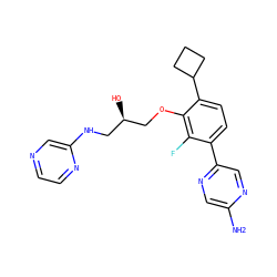 Nc1cnc(-c2ccc(C3CCC3)c(OC[C@H](O)CNc3cnccn3)c2F)cn1 ZINC000224553622