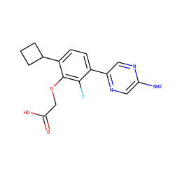 Nc1cnc(-c2ccc(C3CCC3)c(OCC(=O)O)c2F)cn1 ZINC000212128085